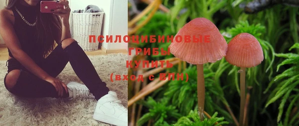 бошки Остров